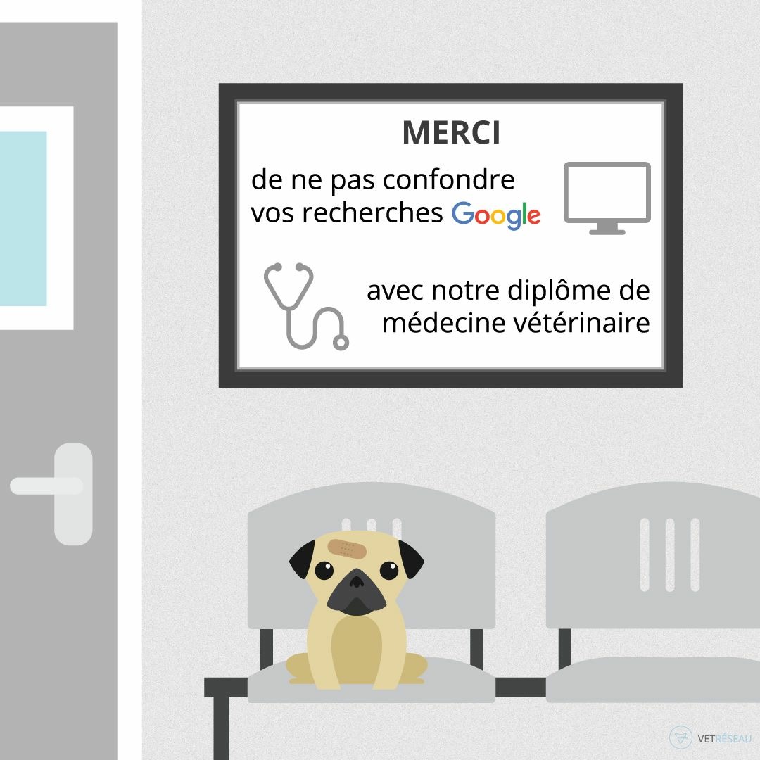 Diplome v&eacute;t&eacute;rinaire