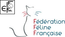 logo FFF FIFe